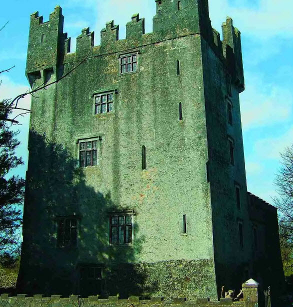 Castle Matrix, Ireland